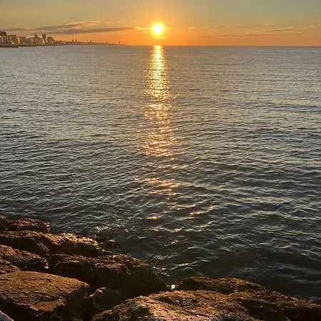 Gambrinus מלון 3*