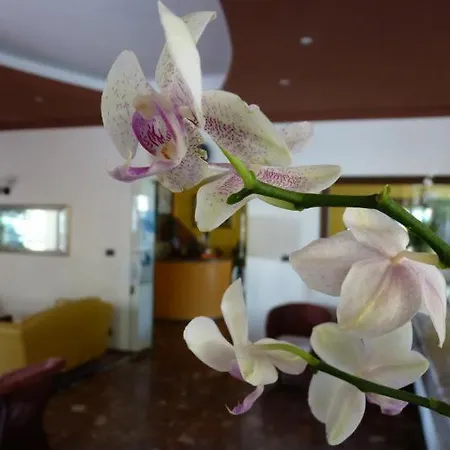 Gambrinus Отель Лидо-ди-Езоло