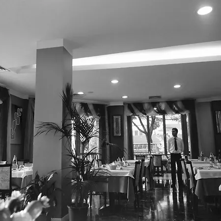 Отель Gambrinus 3*